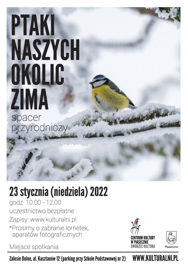 Plakat wydarzenia Ptaki naszych okolic - zima