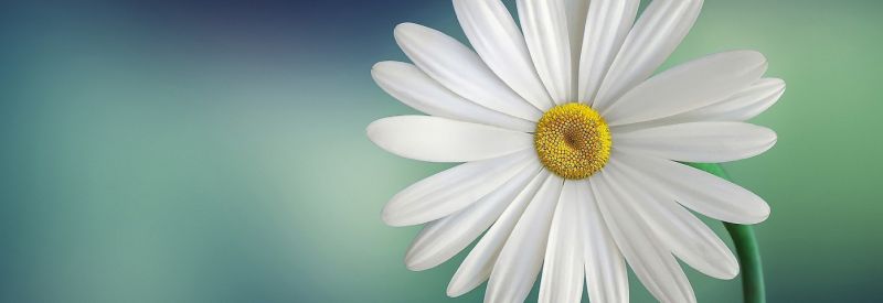 Grafika newslettera Eko wiosna